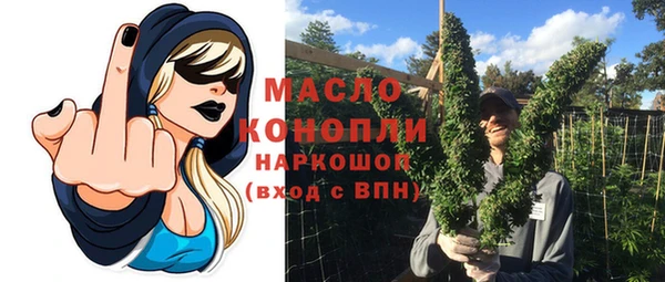индика Снежногорск