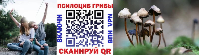 Галлюциногенные грибы Magic Shrooms  Краснотурьинск 