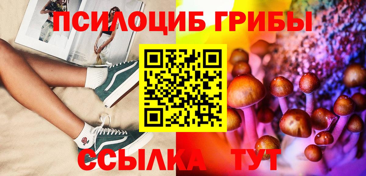 Краснотурьинск  Псилоцибиновые грибы Psilocybe  Псилоцибиновые грибы мицелий  Вход с VPN 