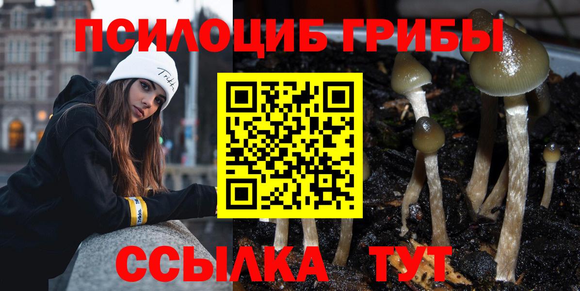Псилоцибиновые грибы Psilocybe Краснотурьинск